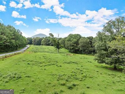 Lot 2 Arthur Allen Road, #2 Road, Cleveland GA 30528