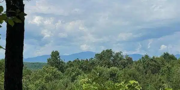 36.78 AC Old Hwy 76, Morganton GA 30560