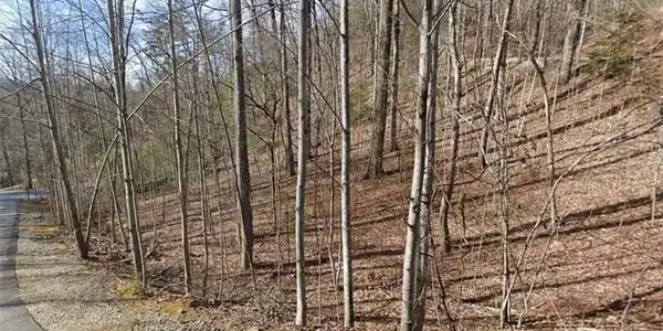 Lot 104 Brown Hawk Drive, Clayton GA 30525