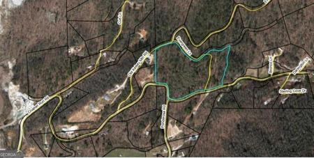 Lot 12&13 Evergreen Lane, Dillard GA 30537