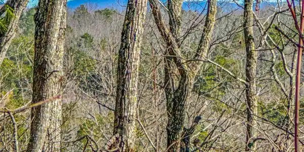 Lot B River Highlands Road, Dahlonega GA 30533