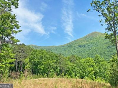 10.5AC Jack Walker Road, Dahlonega GA 30533
