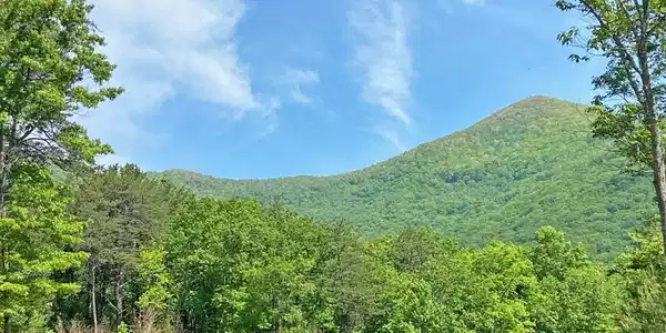 10.5AC Jack Walker Road, Dahlonega GA 30533
