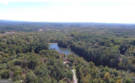 242 Overlook Drive, Ellijay GA 30540