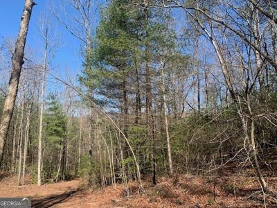 TR A East New Hope Road # A, Ellijay GA 30536