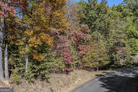 Lot 22 Meadow Brook Trail # 22, Morganton GA 30560