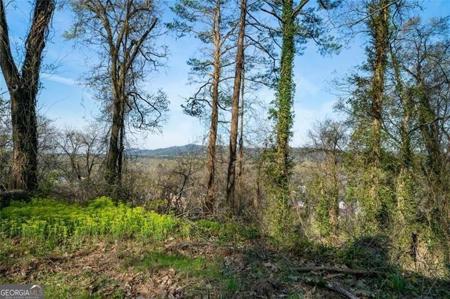 113 LOOKOUT Circle, Rome GA 30161