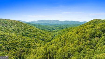Lot 18 Cub Trail, Cherry Log GA 30522