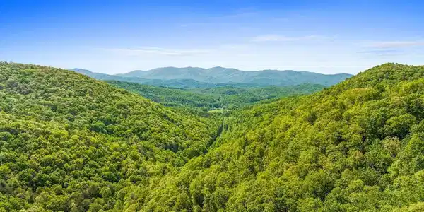 Lot 18 Cub Trail, Cherry Log GA 30522