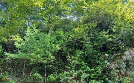 Lot 76 Fires Creek Cove, Hayesville NC 28904