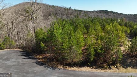 Olde Rockhouse Lane, Demorest GA 30535