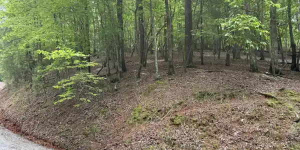 Pelican Drive, Ellijay GA 30540