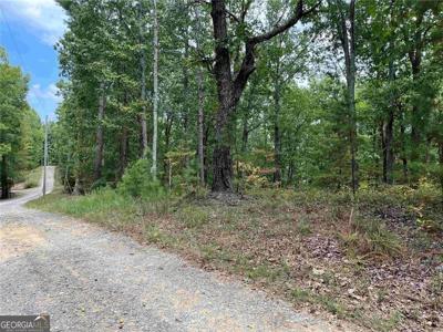 32 Antler Court, Ranger GA 30734
