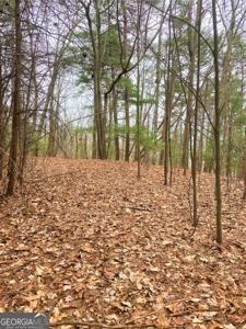 Lot Brushy Top Drive # 7, Chatsworth GA 30705 7