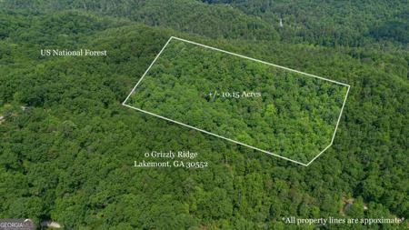 Lot 21 Grizzly Ridge Road, Lakemont GA 30552