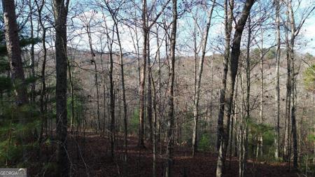 865 Bolster Lane, Ranger GA 30734