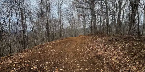 20 ACRES Burnt Leaf Lane, Hayesville NC 28904