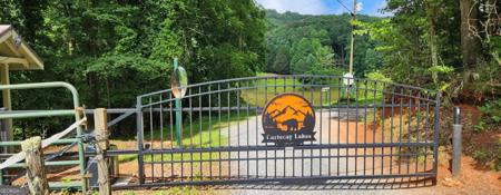 LT 52 Buena Vista Drive, Ellijay GA 30536 LT 51