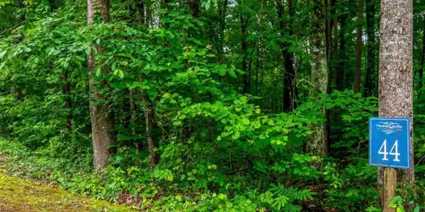 Lot 44 Harris Creek Drive # 44, Ellijay GA 30540
