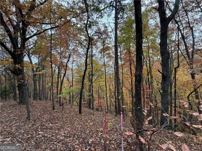 355 Orieole Court, Ranger GA 30734