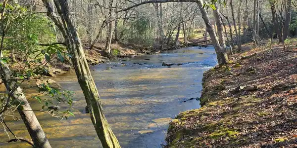 Lot 11B Spence Road, Epworth GA 30541