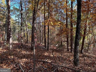 1334 Birch Lane, Ranger GA 30734