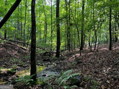 3.52 AC Payne Way, Blairsville GA 30512