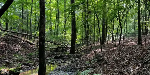 3.52 AC Payne Way, Blairsville GA 30512