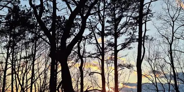 Lot 45 Westwind Trail, Clayton GA 30525