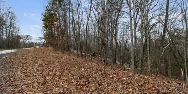 TR4 Curtis Ridge Road # 4, Blue Ridge GA 30513