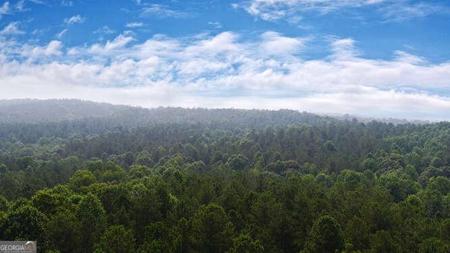 Mt. Sinai Road, Lula GA 30554