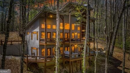 129 Bushy Head Road, Cherry Log GA 30522