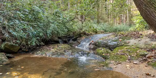 Lot 294 Stancil Dyer Road, Dahlonega GA 30533