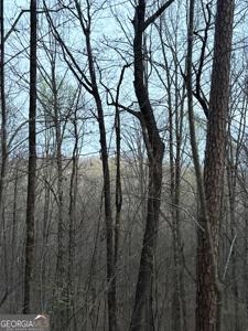 Lot 3 Highway 197, Clayton GA 30525