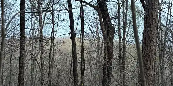 Lot 3 Highway 197, Clayton GA 30525