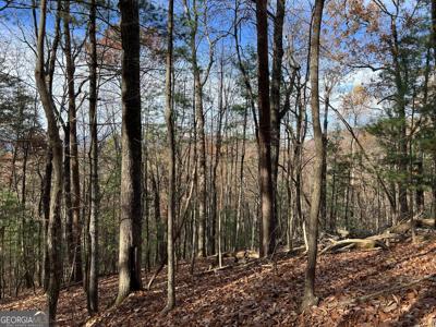 J214 Walnut Mountain Road, Ellijay GA 30536
