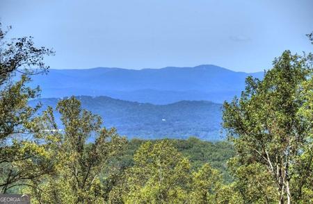 LT 296 Andes Ridge, Ellijay GA 30536