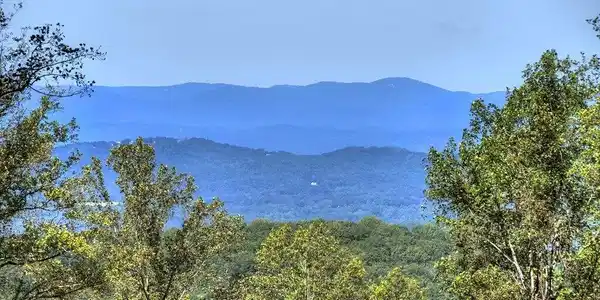LT 296 Andes Ridge, Ellijay GA 30536