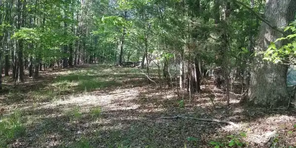Browning Road, Rockmart GA 30153