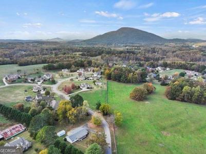 239 Brown Drive, Clermont GA 30527
