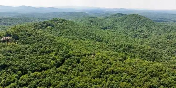Oceola Drive, Ellijay GA 30540