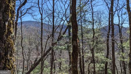 Lot 111 Ridgepole Drive, Sky Valley GA 30537