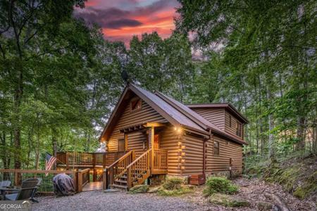 1113 Cherry Lake Drive, Cherry Log GA 30522