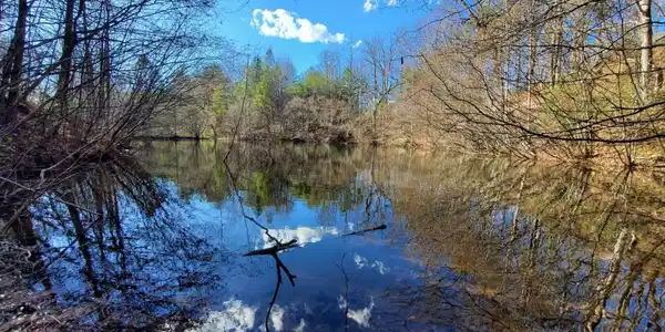 51+ ACRE Mountain Cove Way # 8, Cherry Log GA 30522