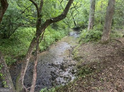 10042 Doublehead Gap Road, Blue Ridge GA 30513