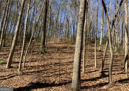 Lot 388 Walhalla Court # 388, Ellijay GA 30540