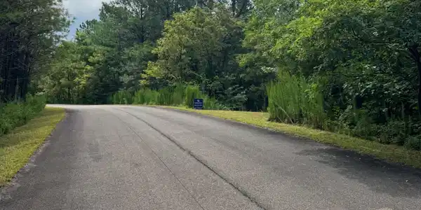 LTS 43 & 44 Reece Mountain Road, Ellijay GA 30536