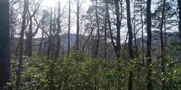 Lot 130 Kingwood Drive, Clayton GA 30525