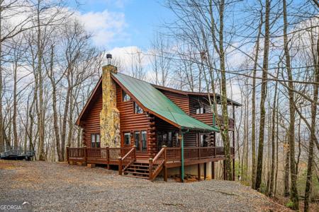 541 Little Bushy Head Road # 271, Cherry Log GA 30522