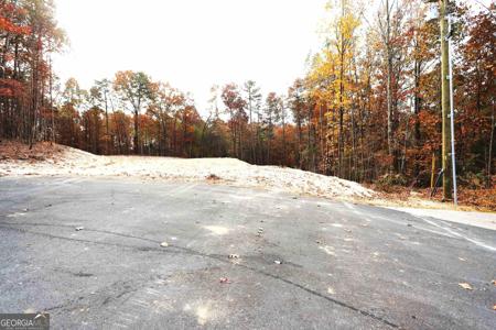 249 Sara Jane Lane, Summerville GA 30747